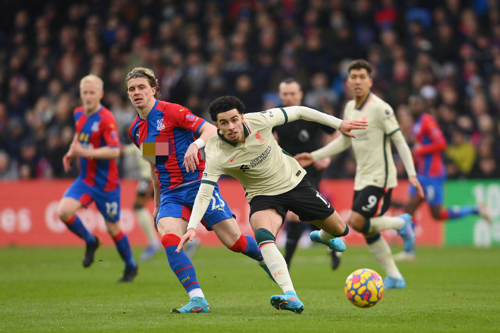 那便是现任 那便是现任