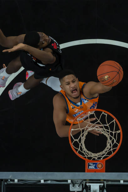 都进行了调 都进行了调